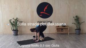 Lezione 43: SULLA STRADA PER BAKASANA<br />con Giulia