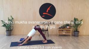 Lezione 85: ADHOMUKKA SVANASANA, il cane che si stira a testa in giù<br />con Valerio