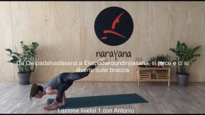 Lezione 91: DA DWIPADAHASTASANA A EKAPADAKOUNDINYASANA, SI TORCE E CI SI DIVERTE SULLE BRACCIA.<br />con Antonio