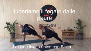 Lezione 4: LIBERIAMO IL FEGATO DALLE PAURE <br /> lezione dinamica con Silvia