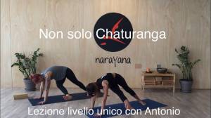 Lezione 5: NON SOLO CHATURANGA <br /> con Antonio