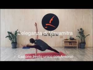 Lezione 14: L’ELEGANZA DI VISVAMITRA<br />con Antonio