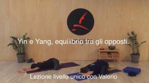 Lezione 18: YIN E YANG, EQUILIBRIO TRA GLI OPPOSTI<br />con Valerio